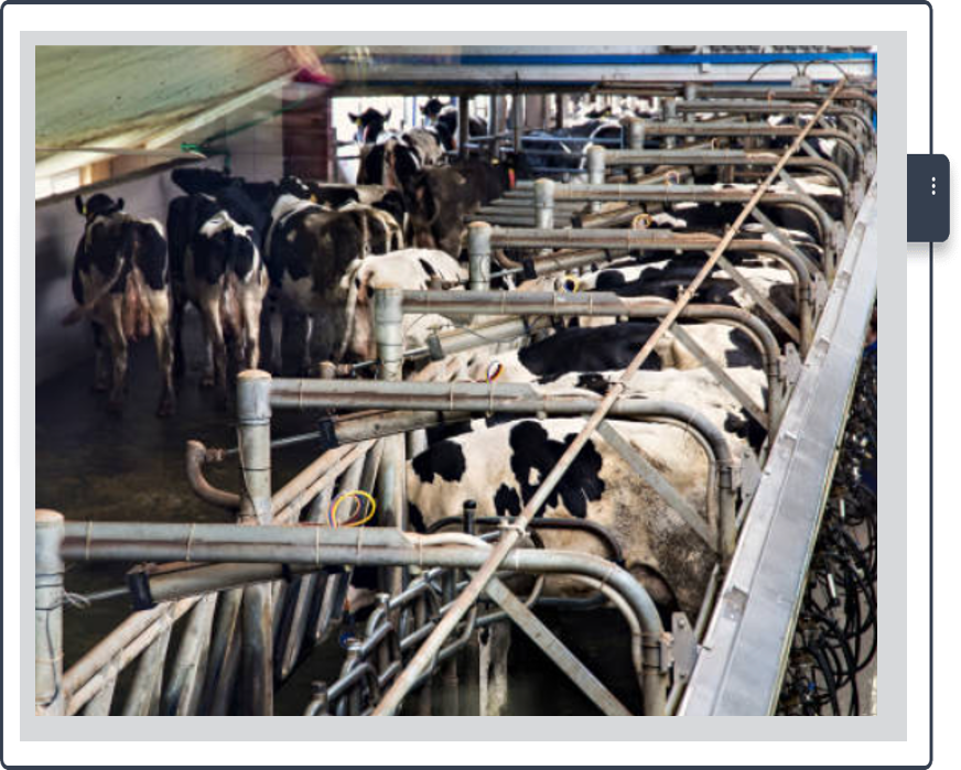 Farm Industry